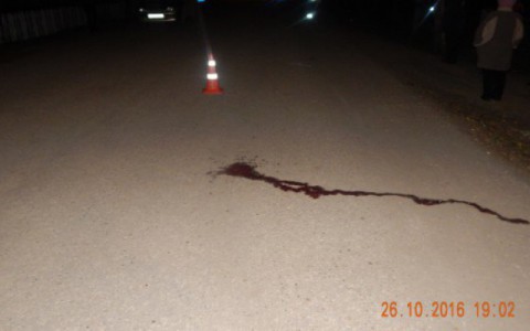 На водителя, насмерть сбившего девочку в Коми, завели уголовное дело