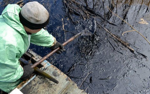Экологи Коми собирают подписи за возвращение природоохранного министерства