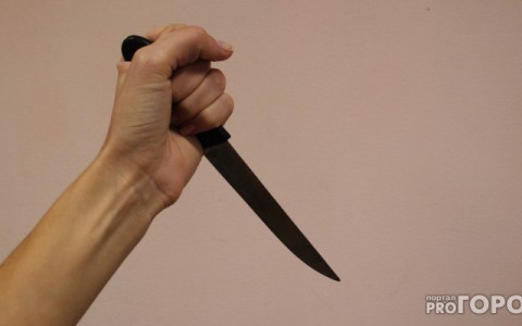 В Коми пьяный бомж убил друга, с которым жил в одном подвале