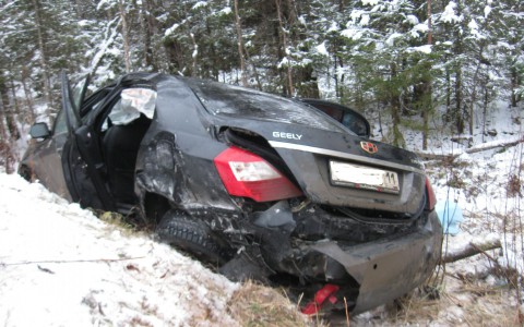 В Коми автоледи улетела в кювет, ее муж-пассажир погиб