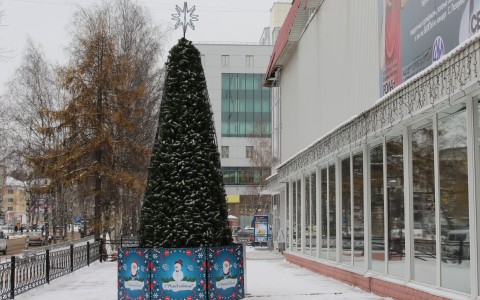 В Сыктывкаре установили первую ёлку