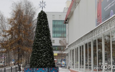 Сыктывкар за день 18 ноября: жуткое ДТП с ребенком и первая елка в городе