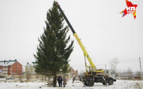 В Сыктывкаре на улице Петрозаводской, где обычно ставили новогоднюю елку, построят стоянку