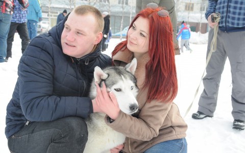 Погода в Сыктывкаре 24 ноября: мокрый снег