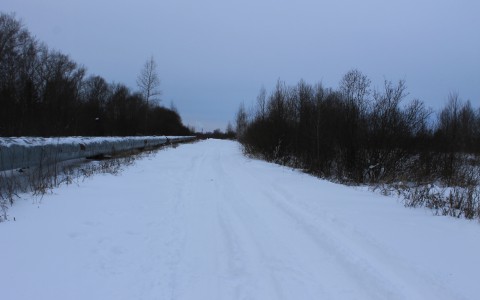 В Коми двух охотников нашли в перевернутой машине