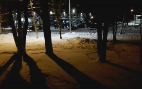 Сыктывкар за день 26 ноября: массовая драка, «Универвидение» и конкурс будущих мам