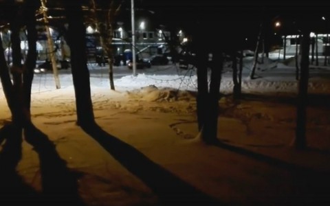 В МВД прокомментировали массовую драку около продуктового магазина в Сыктывкаре