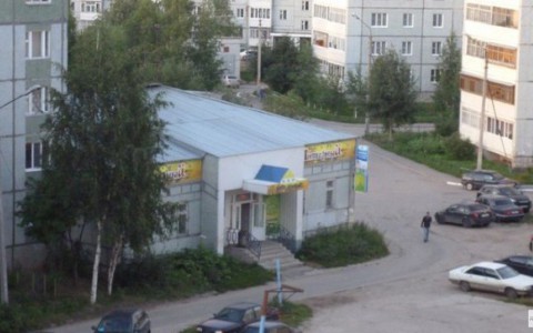 В Сыктывкаре завершено расследование уголовного дела по системе «Оплати по пути»