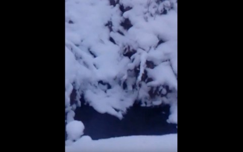 В Сыктывкаре целый год вытекает питьевая вода из прорванной трубы