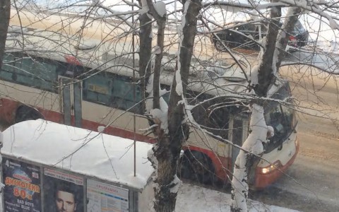 В Сыктывкаре старые деревья угрожают жизни людей, но власти бездействуют