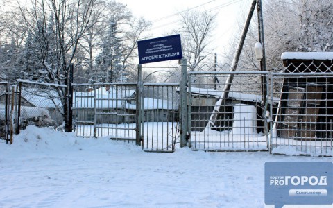 В сыктывкарском университете рассказали, как будет благоустроен ботанический сад
