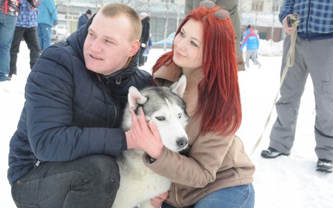 Погода в Сыктывкаре 10 декабря: ожидается снег