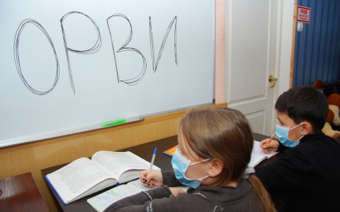 Сыктывкар за день 14 декабря: кот, который примерз к дереву, и карантин в школе