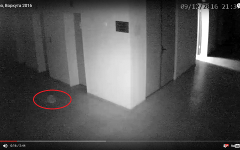 В администрации Воркуты обитает полтергейст (видео)