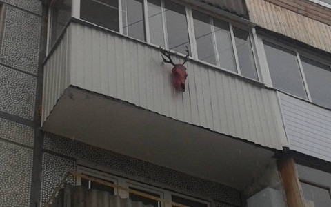 Зловещие дома Сыктывкара: топ-10 самых страшных зданий зимой