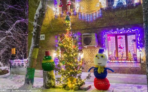 Житель Коми запечатлел украшенный дом к Новому году (фото)