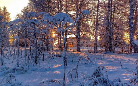 Аномальные морозы в Сыктывкаре: подборка лучших фото из Instagram