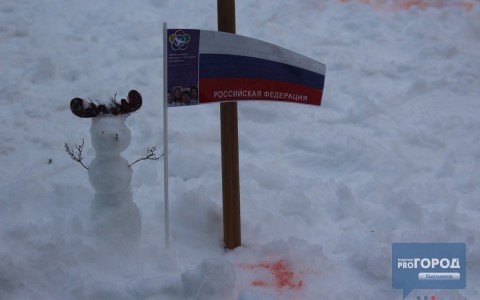 Сыктывкарский «Парад снеговиков» объединил в конкурсе разные страны (фото, видео)