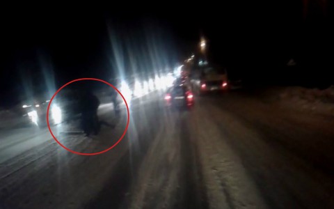 В Сыктывкаре «Форд» на пешеходном переходе сбил 17-летнюю девушку (видео)