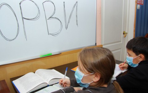 В Сыктывкаре из-за ОРВИ и гриппа на карантин закрыты больше 100 классов