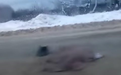 Появилось видео с места ДТП под Сыктывкаром, где «Фиат» сбил женщину