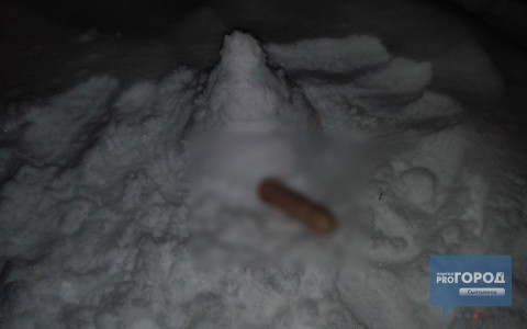 Сыктывкарка обнаружила фаллос на детской площадке (фото)