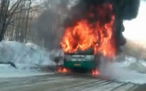 В Приморье сгорел дотла рейсовый автобус (видео)