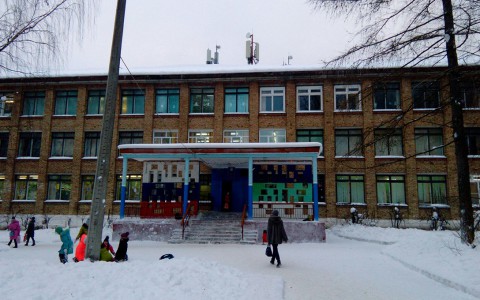 В Сыктывкаре школьнице сломали руку на уроке