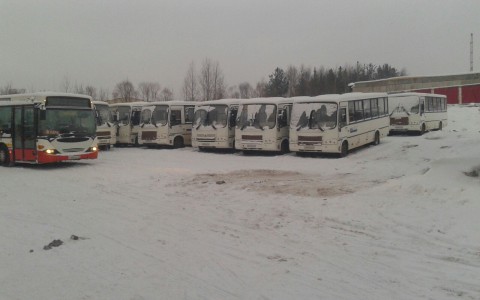 В Сыктывкаре автобусы городского автоперевозчика замерзают без дела