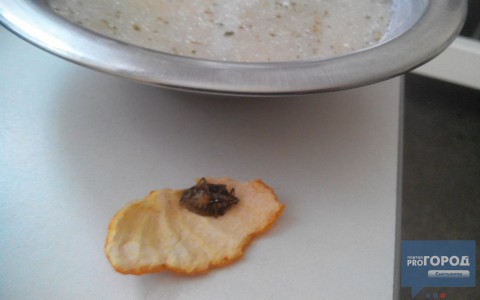 В сыктывкарской больнице пациентка нашла в супе огромного клопа (фото)