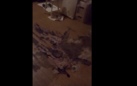Сыктывкар за день 14 января: квартира для инвалида с останками трупа и охота на пьяных водителей