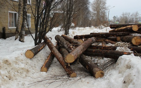 В Коми мужчину завалило бревнами во дворе собственного дома