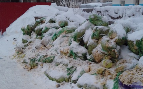 В поселке под Сыктывкаром нашли огромную кучу овощей (фото)
