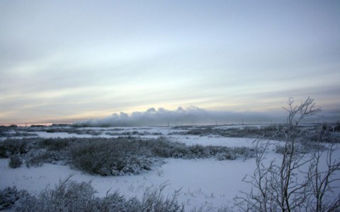 В Коми с начала декабря сутками тушат городскую свалку