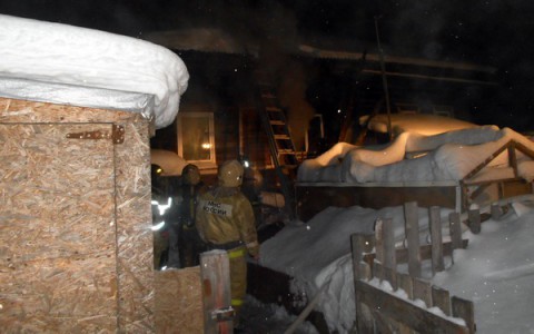 На пожаре в Сыктывкаре задохнулась собака