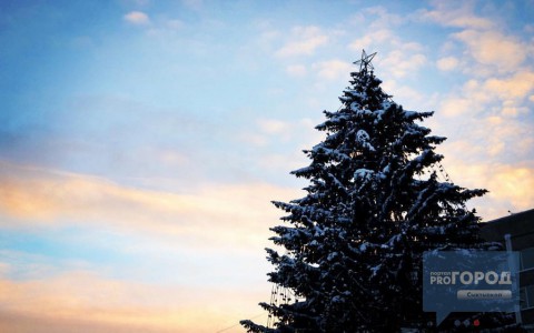 На следующей неделе в Сыктывкар снова придут морозы