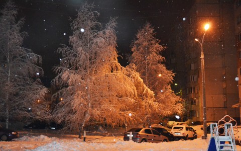 Погода в Сыктывкаре 17 февраля: днем пройдет небольшой снег