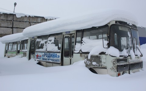 В Сыктывкаре появилось кладбище брошенных городских автобусов (фото, видео)