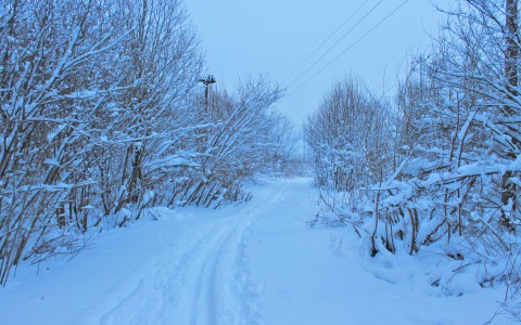 В Коми два охотника не вернулись домой из-за застрявшего снегохода