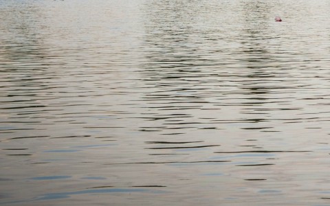 Ученые: через 50 лет Коми может полностью оказаться под водой