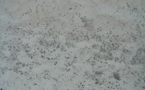 На жителей села в Коми вместо снега падает сажа (фото)