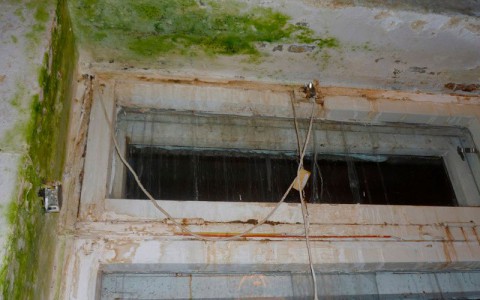 В одной из школ Республики Коми дети учатся среди плесени и воды (фото)