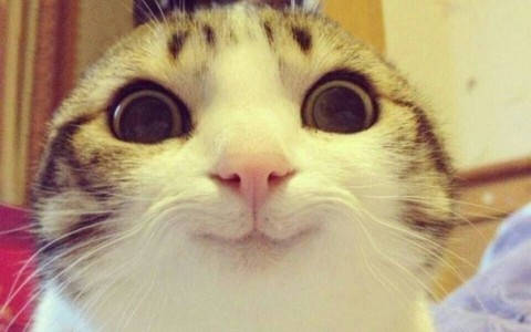 Гороскоп на 25 февраля: день для позитивных перемен в жизни