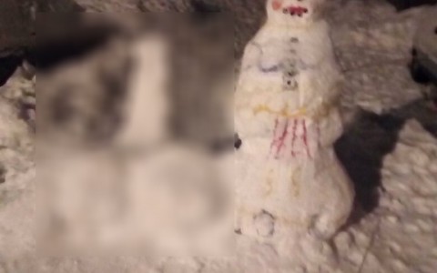 Сыктывкарцы во дворе слепили из снега мужской детородный орган (фото)