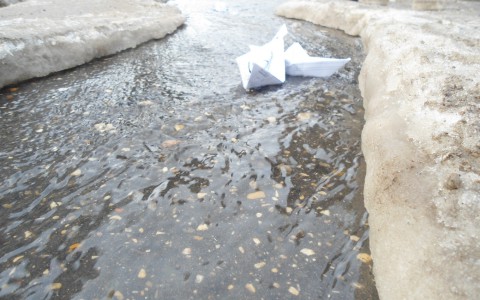 В Коми ожидается аномальное потепление