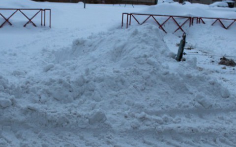 Пропавшего в снегах сыктывкарского ребенка искали полиция и спасатели