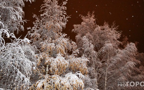 Стало известно, от чего в Коми скончался иеромонах, тело которого нашли в лесной сторожке