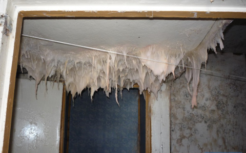 Жители поселка в Коми живут в бараках с плесенью и дырами в стенах (фото)