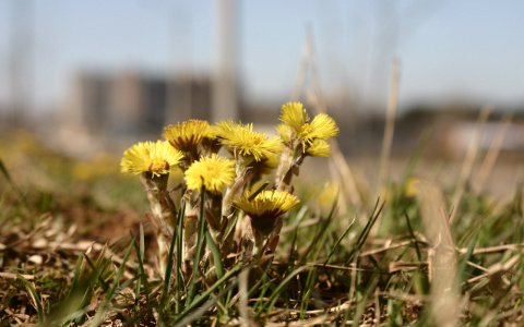 Погода на 30 апреля: осадков не ожидается