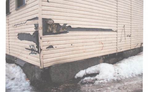 В Коми на спящего ребенка обрушился потолок